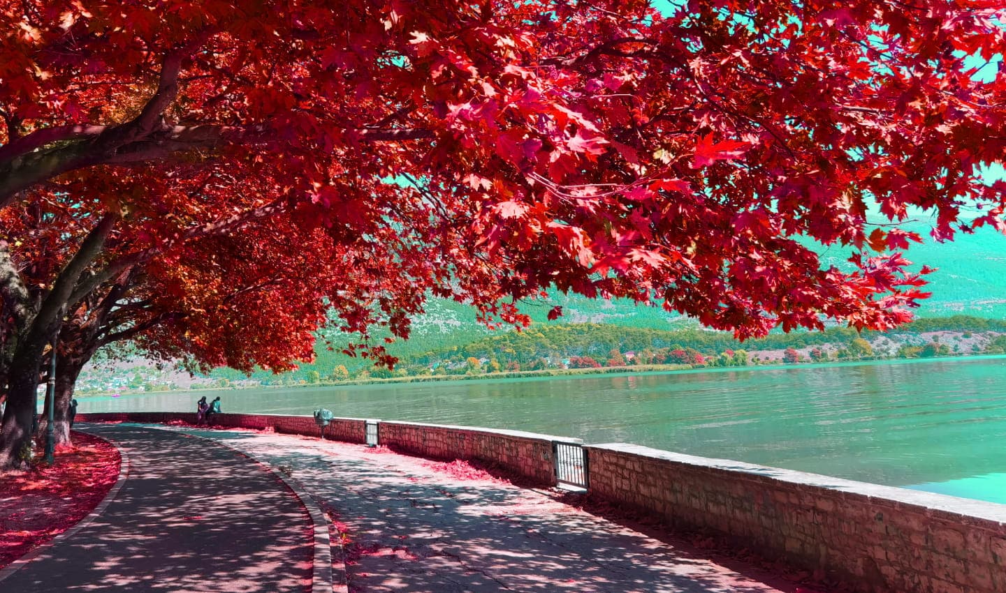 IOANNINA LAKE SECRETS-07.jpg