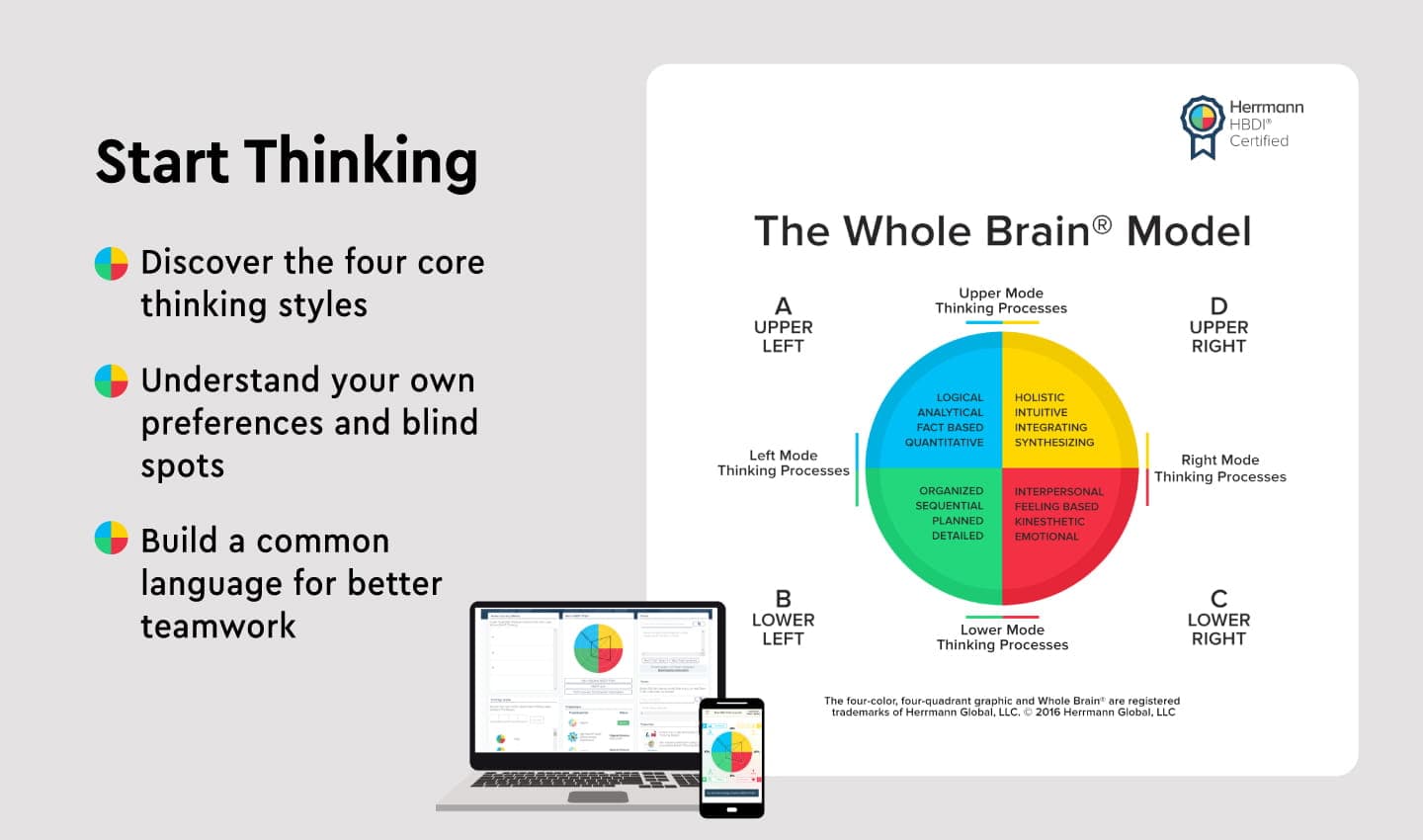Whole Brain® Foundation media