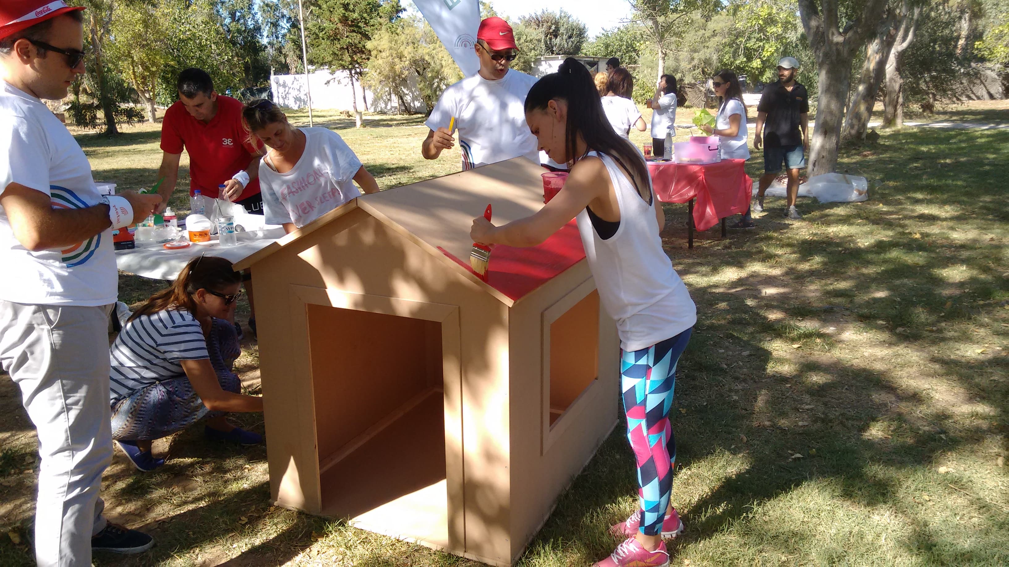 Wooden Kids Houses media