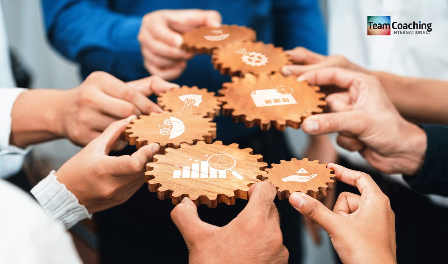 Team Diagnostic by TCI cover