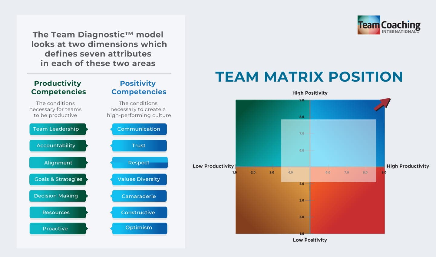 TEAM DIAGNOSTICS TCI-04.jpg