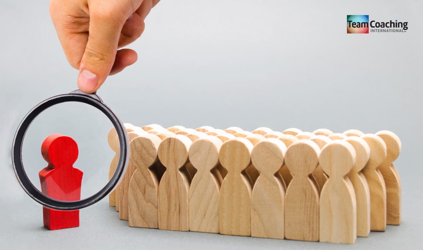 Team Leader View by TCI cover