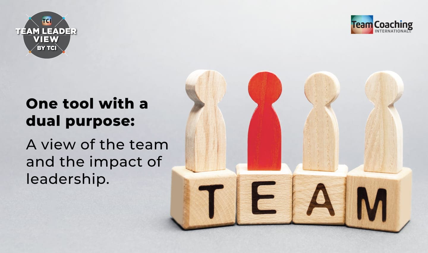 Team Leader View by TCI media