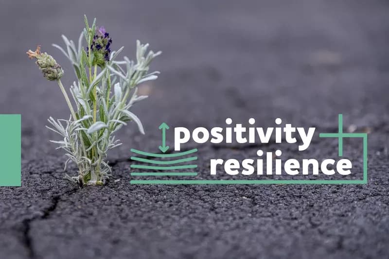 Positivity & Resilience cover
