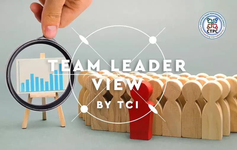 Team Leader View by TCI cover