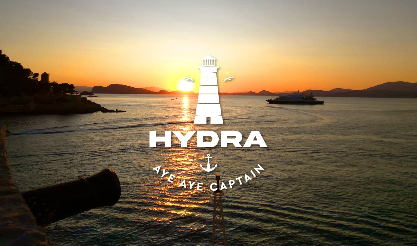HYDRA AYE AYE CAPTAIN-10.jpg