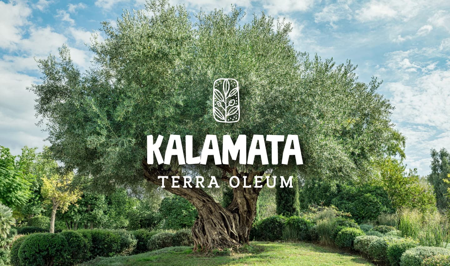 KALAMATA TERRA OLEUM-08.jpg