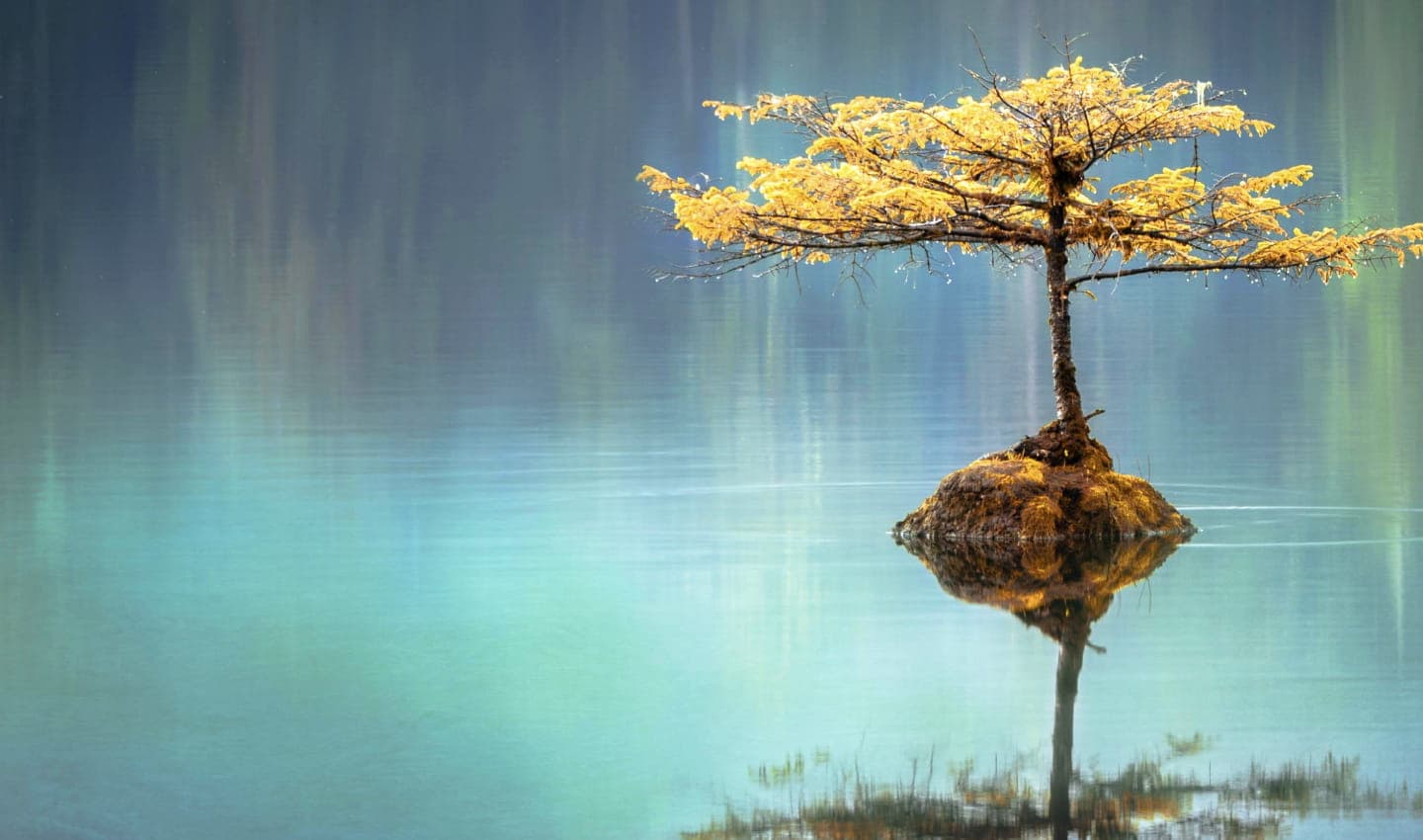 Positivity & Resilience cover