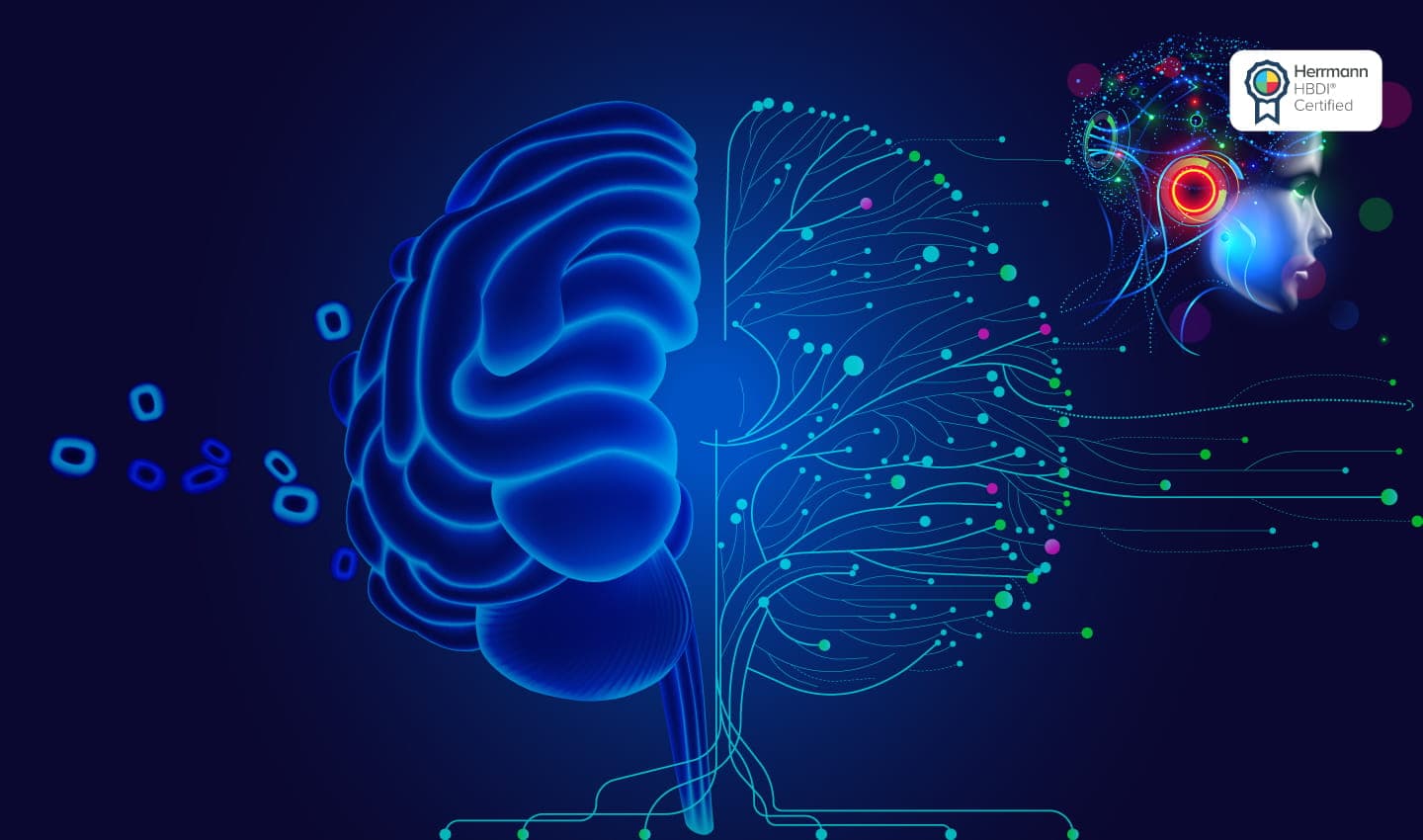 Whole Brain® Meets AI cover